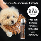 Pride and Groom THE MITT KIT: A Waterless Bath for Dogs - Foaming Dry Shampoo and a Pet Sensitive Glove for a Rinse Free Cleanse and to Eliminate Odor
