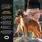 EzyDog Double Up Dog Collar, Strong Double D-Rings - Small, Gray | Dual D-Rings for Superior Strength, Safety, and Comfort, Soft Touch Nylon Webbing, Reflective Stitching, Id Attachement Point