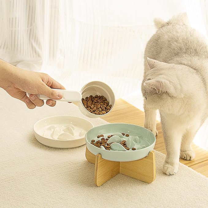 Slow Feeder Bowl for Cats and Small Dogs,Cilkus Fish Pool Design, Fun Interactive Bloat Stop Puzzle Feeder Bowl Healthy Eating Diet Made of Melamine Food Grade Material (Green Ceramic-Bamboo Stand)