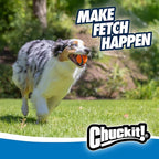 Chuckit! Ultra Ball Dog Toy - Medium Bouncy Fetch Balls For Dogs 20-60 lbs - Made from Durable Rubber - Floating Water Pet Toys - Size Medium - 2.5-inch Diameter - Pack of 4