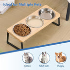Elevated Cat Bowls, 15° Tilted Raised Cat Food and Water Bowl | Anti-Vomit & Whisker-Friendly Design, 3 Stainless Steel Bowls for Cats and Small Dogs