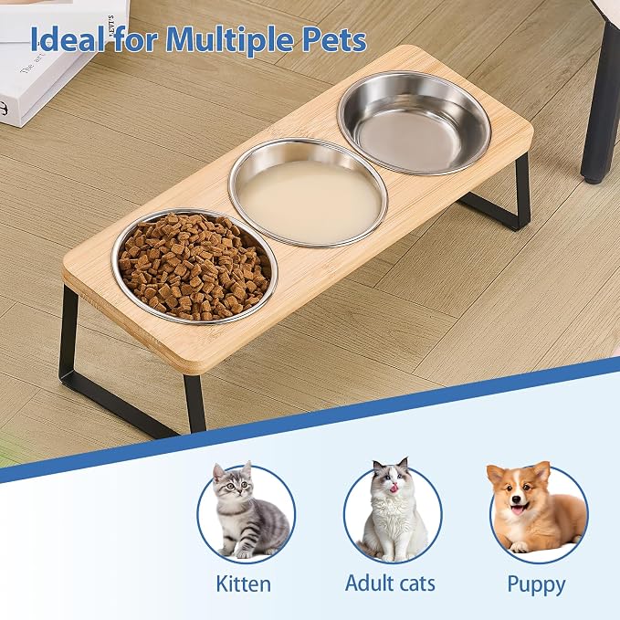 Elevated Cat Bowls, 15° Tilted Raised Cat Food and Water Bowl | Anti-Vomit & Whisker-Friendly Design, 3 Stainless Steel Bowls for Cats and Small Dogs