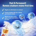 Sunny & Honey Pet Stain and Odor Remover Spray for Carpets, 32floz Spice | USA Made - Enzyme Cleaner for Dog Urine & Poop - Eliminates Set In Stains - Color Safe - For Rugs, Furniture & Car Seats