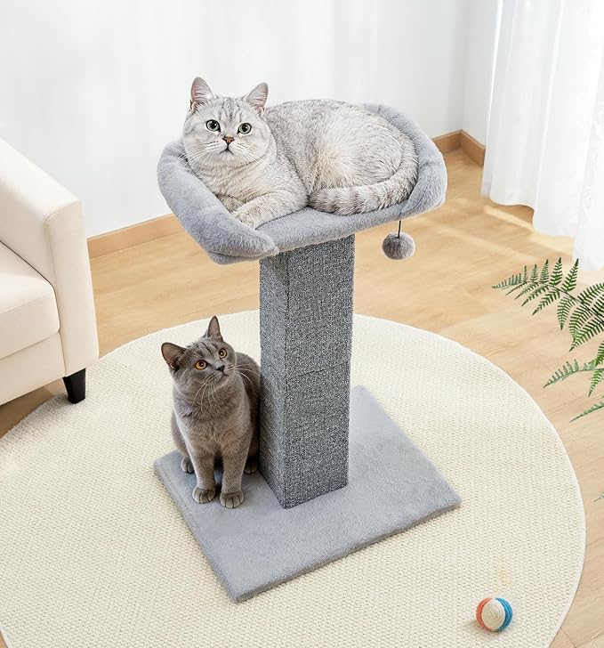 Made4Pets 32" Carpet Cat Scratching Post with Bed for Indoor Cats, Grey | Carpet Cat Scratcher, Raised Perch with Removable Washable Cover, Wide Base, Hanging Ball, Compact Indoor Design