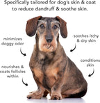 Pride and Groom The Sensitive One Box Set – Dog Shampoo & Conditioner with All Natural Blend of Essential Oils & Ingredients to Soothe, Nourish & Untangle for Long Lasting Shine & Manageability – 32oz