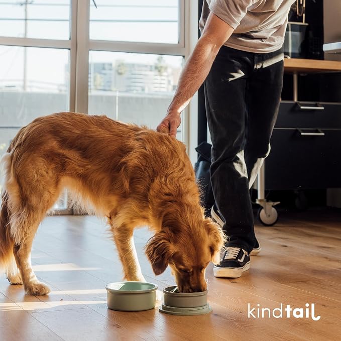 Dog Travel Bowls - Set of 2 Portable Pet Food & Water Dishes with Lid & Handle - Each Nesting Container Includes a Non-Slip Silicone Base - Microwave & Dishwasher Safe - BPA & Toxin-Free