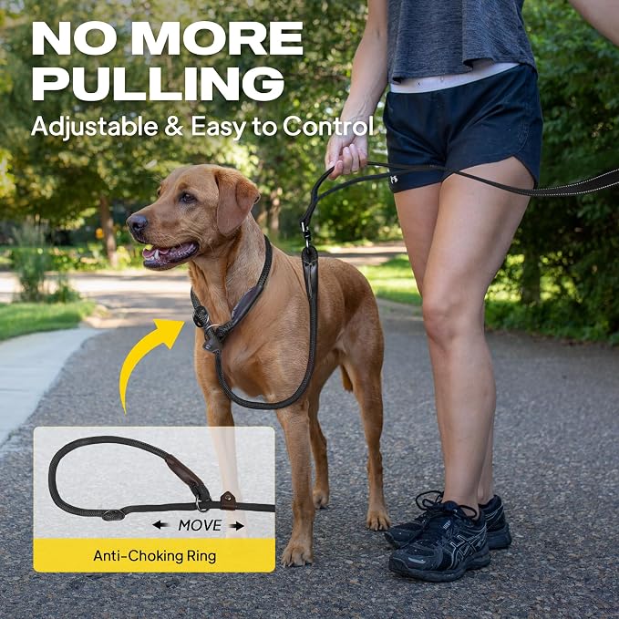 Fida 2-in-1 Slip Lead Dog Leash with 2 Handles, 6FT Training Leash, Black | No Collar Needed, Tangle Free, Soft Padded Handles, Traffic Control,Reflective Heavy Duty No Pull Leash for Medium-Large Dogs