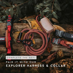 MADE TO ROAM Premium Explorer Leash - Climbing Rope Leash with Autolocking Aviation Aluminum Carabiner - Montana Moonrise, 4ft