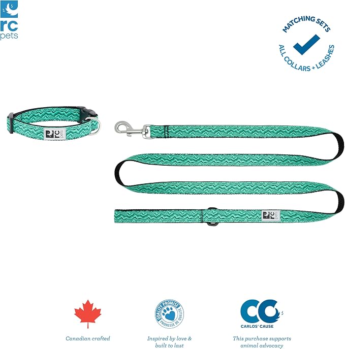 RC Pets Dog Leash | 6ft Leash with Durable Grip, Reflective Label & Accessory Ring | 1-Inch Wide, Soft Webbing | Gemstone