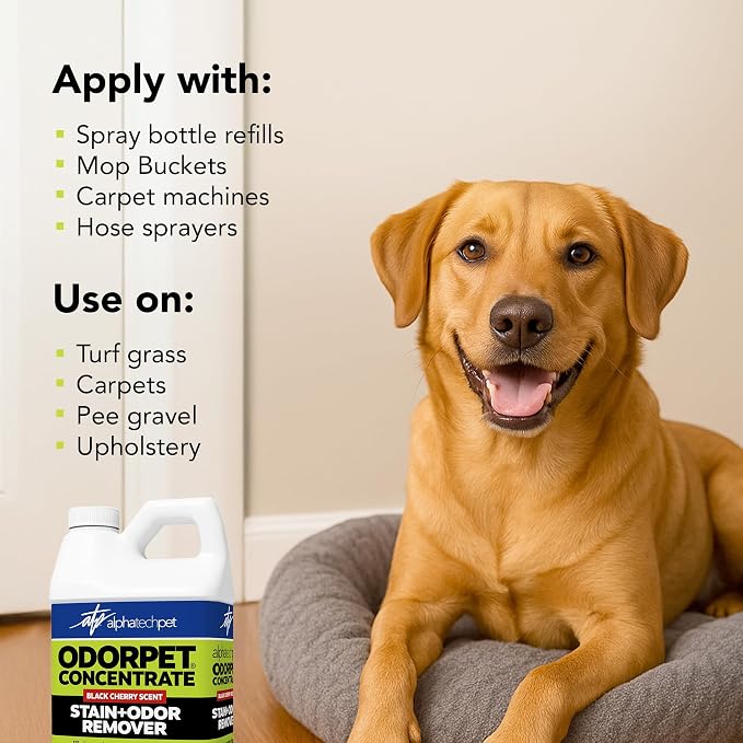 ATP OdorPet Concentrated Stain and Odor Remover, Black Cherry, 64 Fl Oz | Industrial grade, pH-neutral cleaner for dog and cat urine, feces, and vomit. Safe on carpets, furniture, artificial turf.