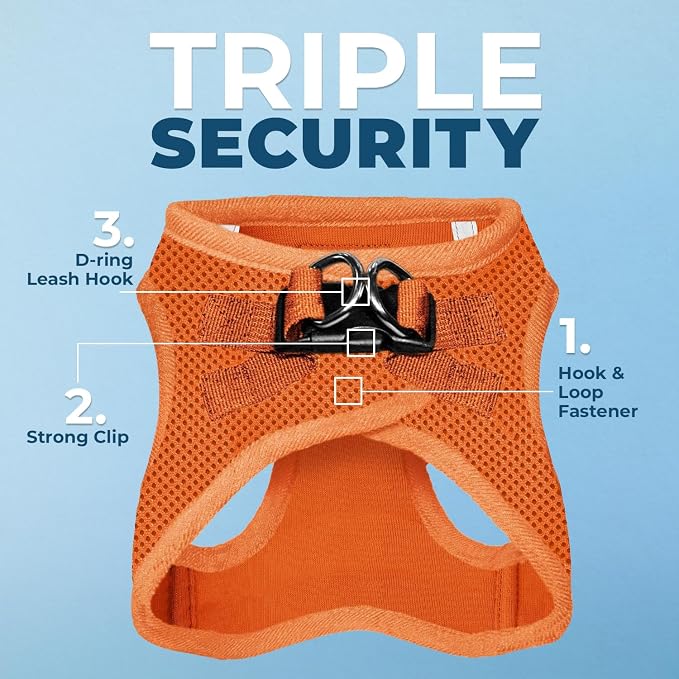 Best Pet Supplies Voyager Step-in Air All Weather Mesh Harness and Reflective Dog 5ft Leash Combo with Neoprene Handle, for Small, Medium and Large Breed Puppies - Orange, XXX-Small