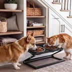 Elevated Dog Bowl, Adjustable Height and Tilt Angle Dog Bowl Stand | Precisely Adjust Height And Tilt Angle, Easy To Clean, Equipped With 2 Stainless Steel Food Bowls, Sturdy And Durable.