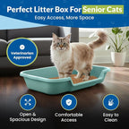 KittyGohere Senior Cat Litter Box Large with Scoop, 2 Pack Green | Open Top Low Entrance Kitty Litter Box With Long-handle Jumbo Scoop, Lightweight Low Entry Litters Box, Durable, Made in USA