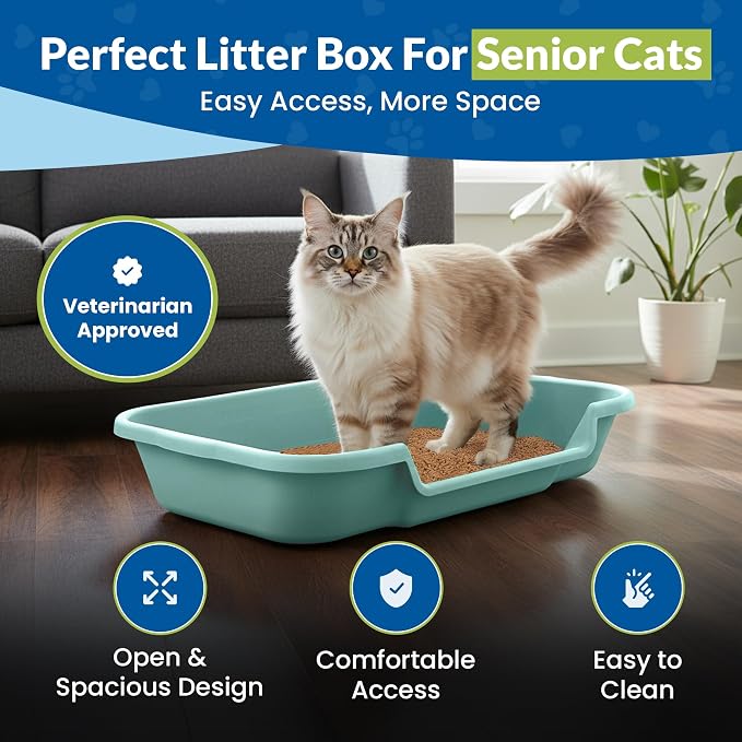 KittyGohere Senior Cat Litter Box Large with Scoop, 2 Pack Green | Open Top Low Entrance Kitty Litter Box With Long-handle Jumbo Scoop, Lightweight Low Entry Litters Box, Durable, Made in USA