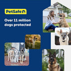 PetSafe Stubborn Dog In-Ground Fence Collar | Collar Only, Replacement, Extra, Add-A-Dog, Tone, Vibration, & Static, Waterproof, Dogs 8 lb+ Neck 6-28 in