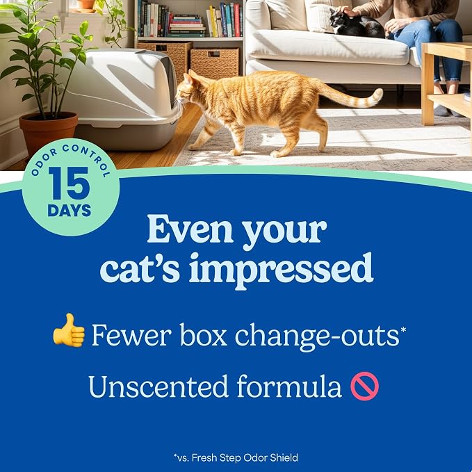 Fresh Step Advanced Ever Fresh Multi Cat Clumping Litter, Unscented Cat Litter, Ammonia Block Technology, Ultra Absorbent, 16 lb. Box, Pack of 2 | Ultra Absorbent to Last Longer, Unscented, Lowest Dust Formula, Compatible with Most Auto Litter Boxes