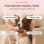 JAYU PET Unscented Dental Finger Wipes for Dogs and Cats, 50 Count | Dog Tooth Wipes, Pet Teeth Cleaning, No-Rinse, Dual-Finger Oral Care
