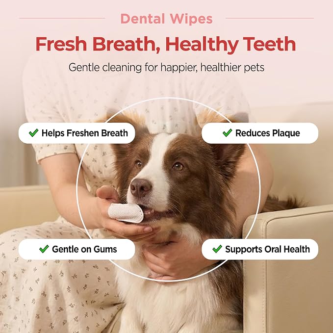JAYU PET Unscented Dental Finger Wipes for Dogs and Cats, 50 Count | Dog Tooth Wipes, Pet Teeth Cleaning, No-Rinse, Dual-Finger Oral Care