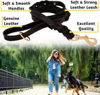 ADITYNA Leather Dog Leash with Traffic Handle, 6ft, Medium & Small Dogs | Heavy-duty braided leather leash, 5/8" width x 6ft, Double handle for extra control, ideal for training & busy sidewalks.