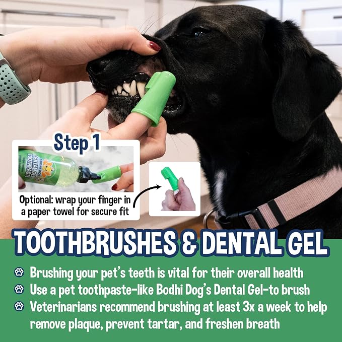 Bodhi Dog Finger Toothbrush for Dogs & Cats - Puppy Toothbrush with Soft Flexible Silicone Bristles, Gentle for Sensitive Gums, Promotes Healthy Teeth & Gums, Easy Teeth Cleaning Tool (8 Count)