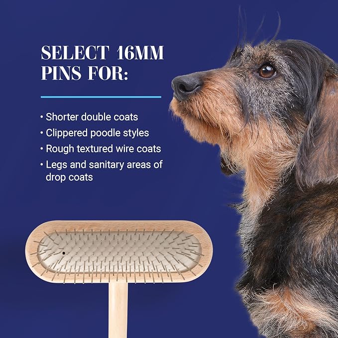 Chris Christensen Original Series 27 mm T-Brush - Dog & Cat Grooming Brush, Groom Like a Professional, Stainless Steel Pins, Lightweight Beech Wood Body, Ground and Polished Tips