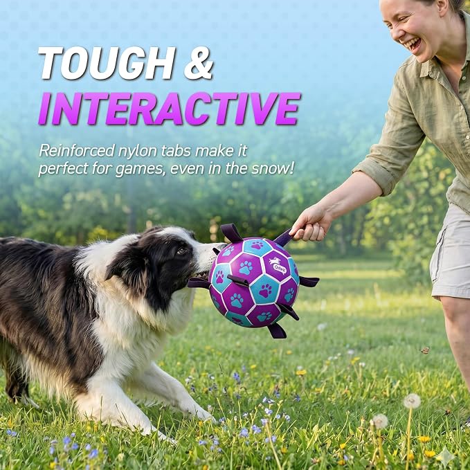 QDAN Dog Toy Soccer Ball, Durable Dog Balls for 30-90 lbs Small Medium Dogs | 8 Inch Soccer Toy with Straps, Dog Tug Toy for Tug of War, Puppy Birthday Gifts, Training Herding Balls for Outdoor, Purple