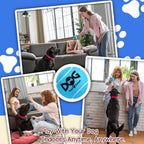 INSUM Squeaky Tennis Balls for Dogs 6 Pack 2.5" Squeaky Balls for Dogs | SGS Non-Toxic Test Pass, Multi Bright Colors Perfect for Outdoor & Indoor Play