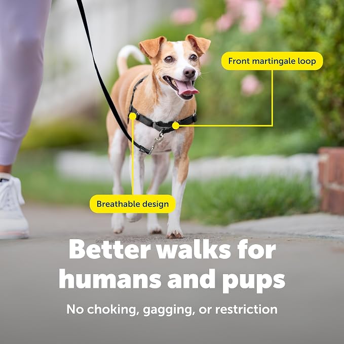 PetSafe Easy Walk Harness for Dogs - Pull-Free Walks - Patented Martingale Loop Design - Front Chest Leash Attachment - Comfort Straps - Breathable Harness Design - Small, Royal Blue/Navy Blue
