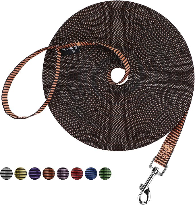 Hi Kiss Dog/Puppy Obedience Recall Training Agility Lead - 15ft 20ft 30ft 50ft 100ft Training Leash - Great for Training, Play, Camping, or Backyard(100ft,Black_Orange)