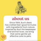 Burts Bees for Pets Hypoallergenic Cat Shampoo, Unscented, 10 Fl Oz, 2-Pk | Gentle shea butter and honey formula for indoor cats with dry or sensitive skin, pH balanced
