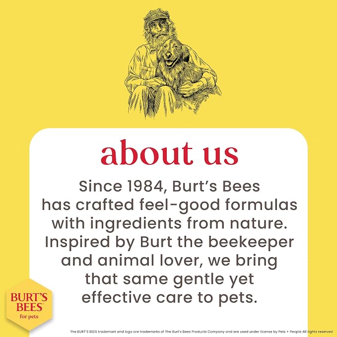 Burts Bees for Pets Hypoallergenic Cat Shampoo, Unscented, 10 Fl Oz, 2-Pk | Gentle shea butter and honey formula for indoor cats with dry or sensitive skin, pH balanced
