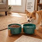 SPUNKYJUNKY Ceramic Dog and Cat Bowl Set with Wooden Stand, Modern Cute Weighted Food Water Set for Small Size Dogs (13.5OZ) & Medium Sized Dogs (28.7OZ) & Cats (3.6 Cups, 2 × Light Green)
