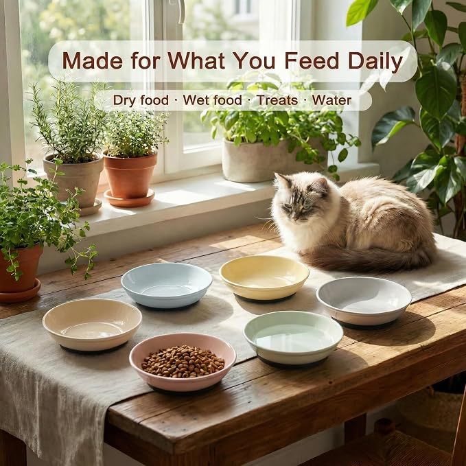 Ceramic Cat Food Bowls 6 Pack – Shallow Cat Bowl with Non-Slip Silicone Base, Whisker-Fatigue Dishes for Indoor Cats – Microwave Dishwasher Safe – 5.3 oz Colorful Pet Plates for Wet Dry Food Water