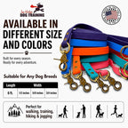 Gummy Dog Leash, Biothane, Dog Training Leash, Waterproof, Weatherproof, 6 Foot Length for Small, Medium & Large Dogs or Puppies, Various Sizes & Colors (3/4 Brown)