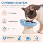 Blue Mushroom Cat Bowl, Elevated Ceramic Bowl for Cats | Cute Mushroom Design, Elevated, Ceramic, Whisker Friendly, Anti Vomiting