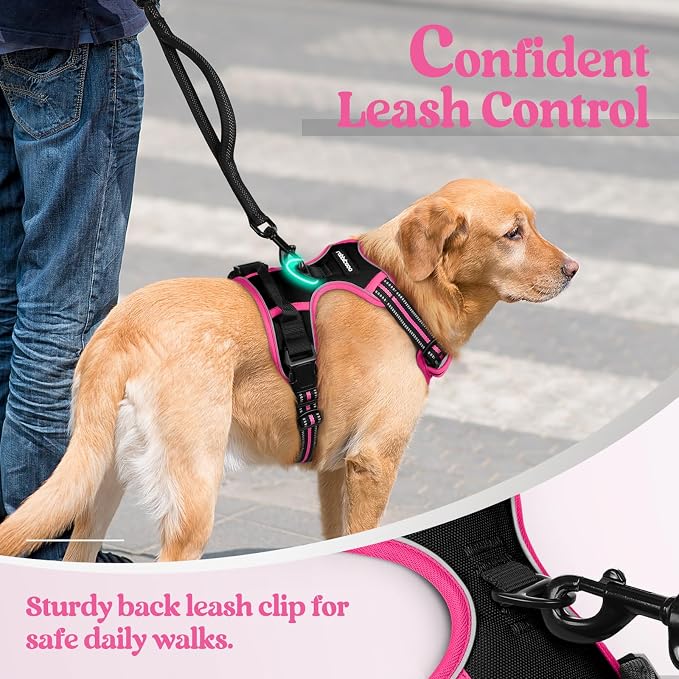 rabbitgoo Dog Harness, No Pull Medium Sized with 2 Leash Clips, Pet Vest | No Choke with Handle, Adjustable Soft Padded, Reflective, Easy Control for Walking, Black & Hot Pink, Medium
