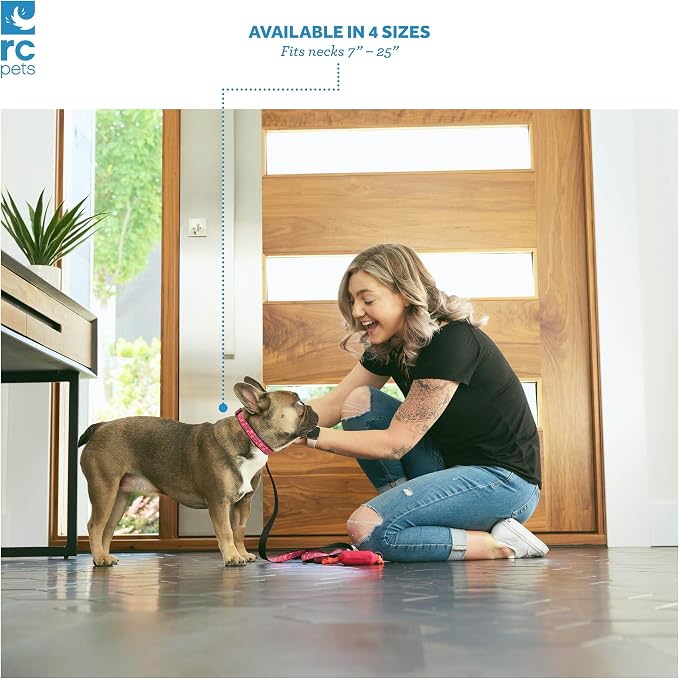RC Pets Dog Leash | 6ft Leash with Durable Grip, Reflective Label & Accessory Ring | 3/4-Inch Wide, Soft Webbing | Mahalo