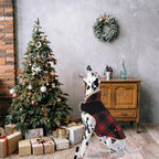 Winter Coat for Small and Medium Dogs, Puppy Plaid Jacket, Warm Coat for Cold Weather, Windproof Warm Dog Garments, Pet Thickened Outfits Indoor Outdoor, Red M