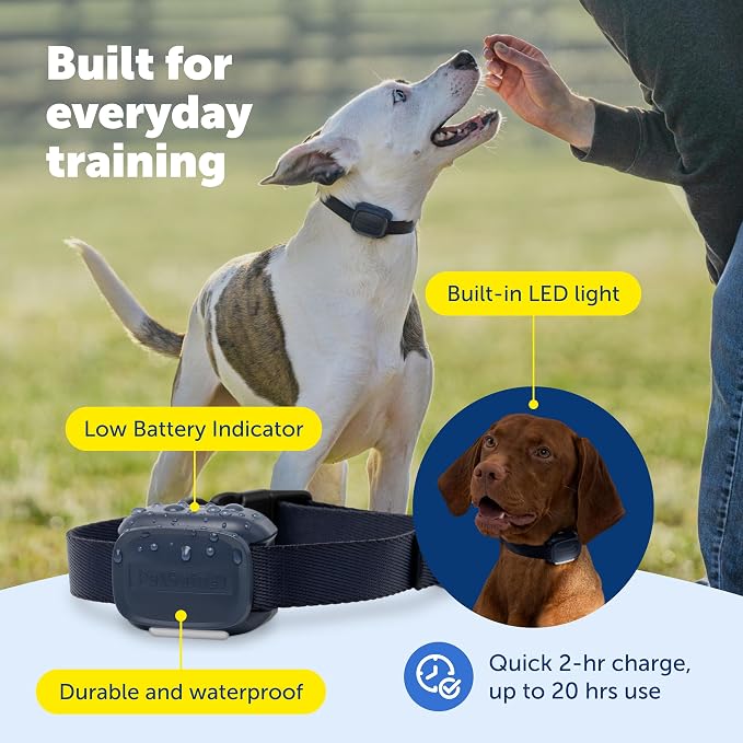 PetSafe Core Dog Trainer with Remote and Add-A-Dog Collar Waterproof Training Collar 1000-Foot Range Tone, Vibration and 15 Levels of Static Built-in LED Light