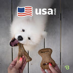 Benebone 2-pack Wishbone/Dental Durable Dog Chew Toys, Real Bacon, Medium