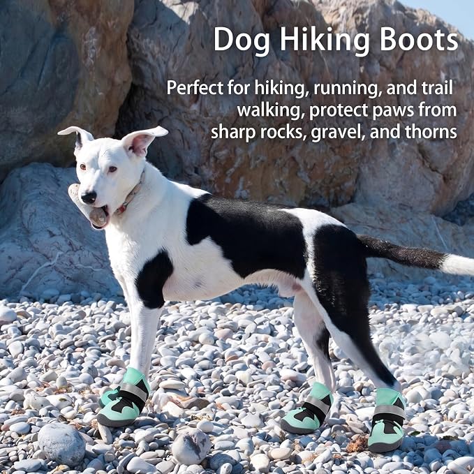 Lightweight Dog Boots, Durable & Anti-Slip Dog Shoes for Hot Pavement, Winter Snow, Paw Protectors for Hard Floors, Hiking, Waterproof for Rainy Walks, Booties for Dogs Prevent Licking, Green Size 4