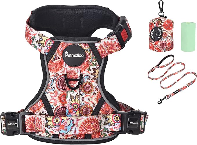 Petmolico No Pull Dog Harness Set with Leash Attachment Easy Control Handle Reflective Harness Vest Small Breed, Puppy Vest and Leash Set with Poop Bag Holder, Medium - Boho Floral