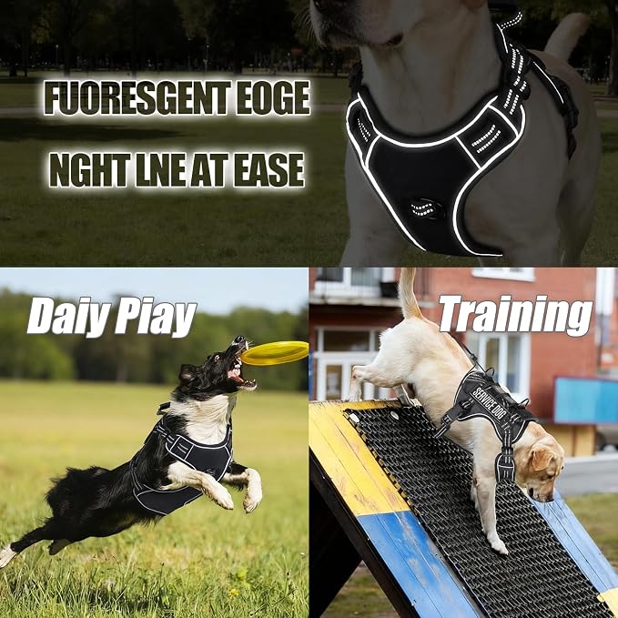 Service Dog Tactical Vest Harness and Leash Set Large Sized Dog Emotional Support- Tactical Dog Harness Training Collar with Name (Black, XL)