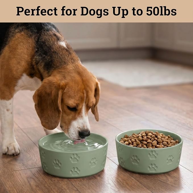 Ceramic Dog Bowl Set of 2 w/ Anti-Skid Base 6.5"W x 2.5"H, 3.8 Cup Capacity | Thick Ceramic, Dishwasher Safe, Anti-Skid Rubber Base, 3.8 Cups per Bowl, Ceramic Food & Water Bowls Set of 2 for Medium Dogs