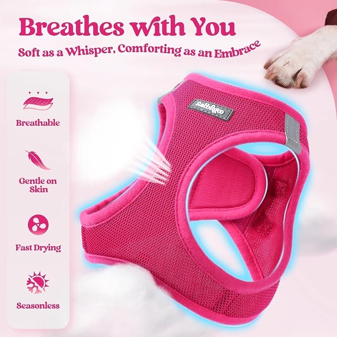 rabbitgoo Dog Harness Small Sized and Leash Set, Step-in Puppy Pet Vest | Light, Soft, Breathable Air Mesh, Easy on and Remove with Hook & Loop, Secure Reflective for Walking, Rose Red XXS