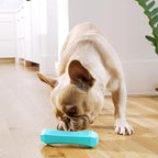 Playology Dog Toys | Squeaky Chew Stick for Dogs, Value 2-Pack | Peanut Butter Scented Medium Fetch Toy | Squeaky Dog Chew Toy