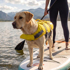 Outward Hound Granby Splash Yellow Dog Life Jacket, Large