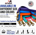 Gummy K9 Dog Leash, Biothane, Dog Training Leash, Made in The USA, 6 Feet, Various Sizes & Colors (3/4, Blue)