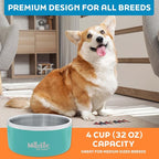 Master Pet Supply Stainless Steel Dog Bowls - 32 oz, Heavy Duty - Aqua Sky, Double Wall Extra-Thick Insulated, Non-Slip Pet Water Bowl for Dogs, Cats & Pets, Anti Rust Metal, Dish Washer Safe