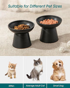 vancasso Elevated Cat Food Bowls 2-Pack, 6.2" Wide Shallow Cat Feeding Bowl for Whisker Fatigue, 5.1" Height Ceramic Raised Food Bowls for Senior Cats, Anti Vomit, Black